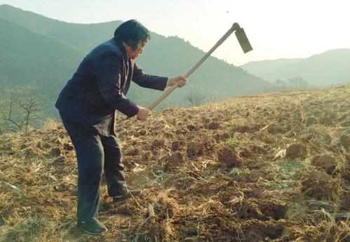 申纪兰的为民情怀