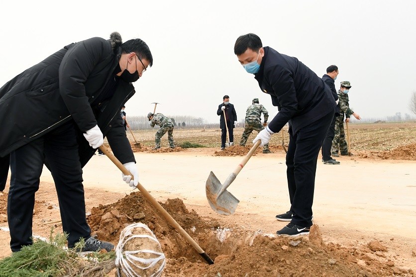 夏县四大班子领导参加春季义务植树活动