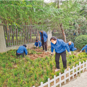 圣惠公园提升绿化管护水平为市民营造优美的游园环境