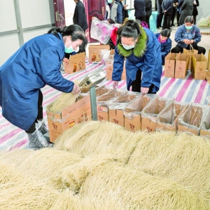 河津市张家堡村红薯粉条让人又爱又恨