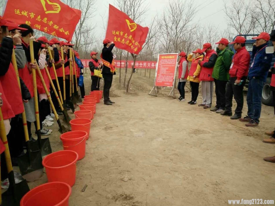 直击盐湖区志愿者黄河边种树