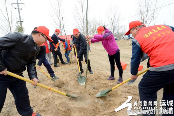 200余名青年志愿者黄河岸边植树造林