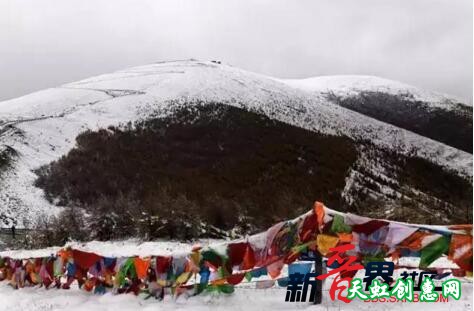 山西迎来金秋首场雪 五台山“秋冬”美景齐现