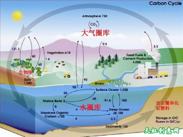 森林的生态功能岂能用金钱衡量