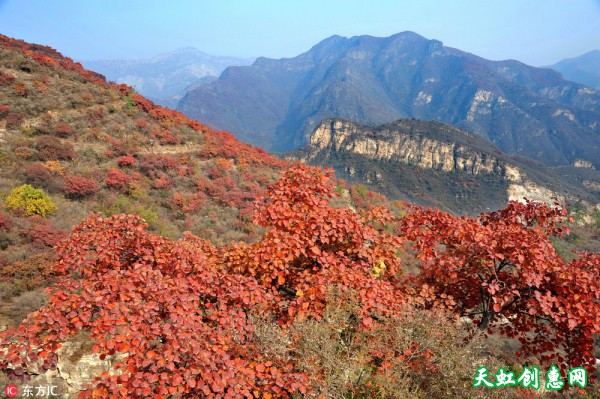 坡峰岭红叶景区
