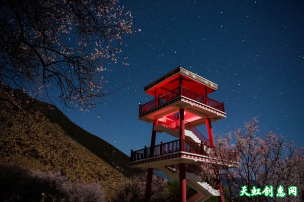 冬到春不远 林芝波密的桃花和星空简直太美