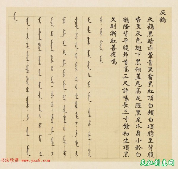 汉文满文字画欣赏《清人鸟谱册》