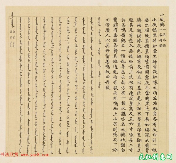 汉文满文字画欣赏《清人鸟谱册》