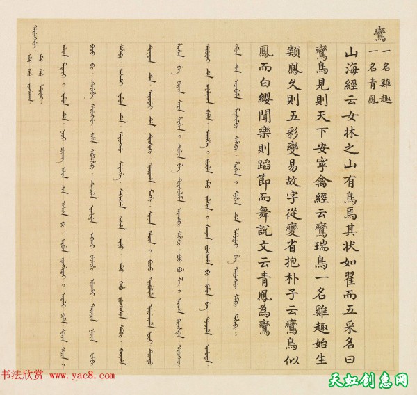 汉文满文字画欣赏《清人鸟谱册》