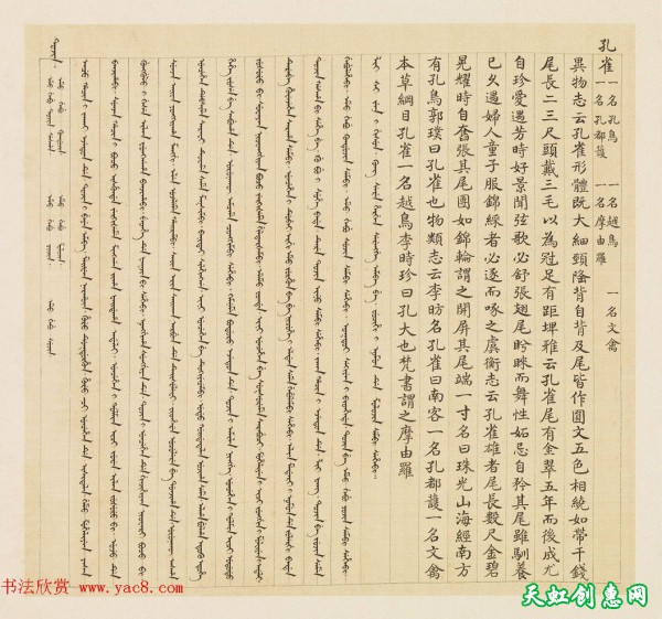 汉文满文字画欣赏《清人鸟谱册》