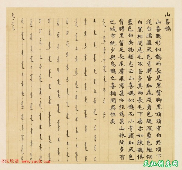 汉文满文字画欣赏《清人鸟谱册》