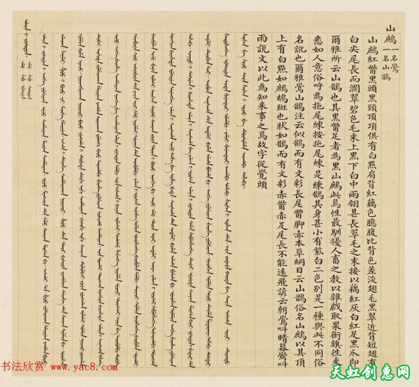 汉文满文字画欣赏《清人鸟谱册》