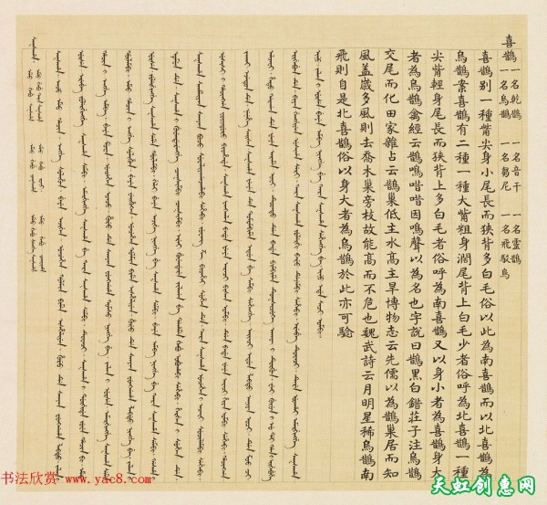 汉文满文字画欣赏《清人鸟谱册》