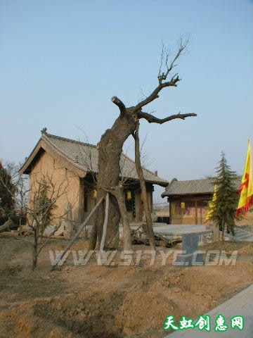 运城华夏寻根处鸣条岗舜帝陵