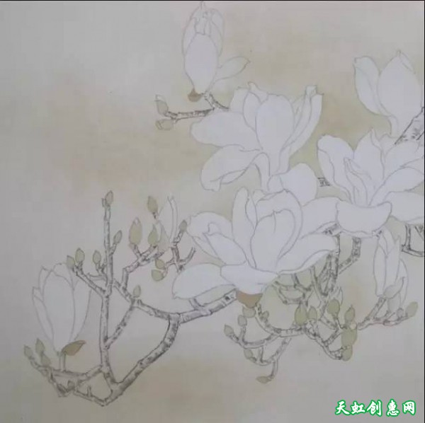 国画作品欣赏《玉兰花》