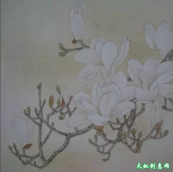 国画作品欣赏《玉兰花》