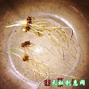 丽江腊排骨火锅怎么做