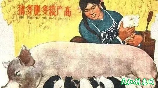 时代的记忆《养猪印谱》