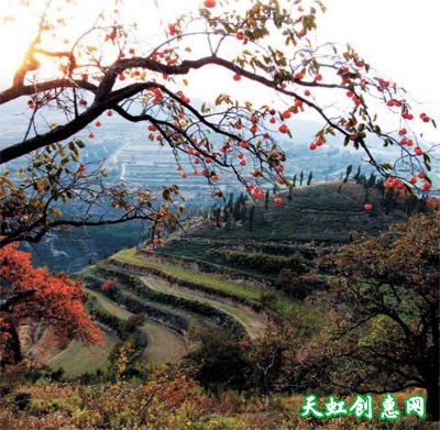 万荣孤峰山风景区