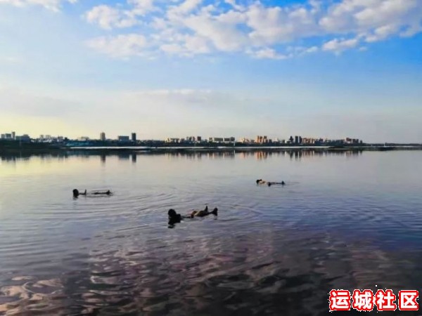 中国死海·运城盐湖景区免费室外漂浮活动延续到10月15号