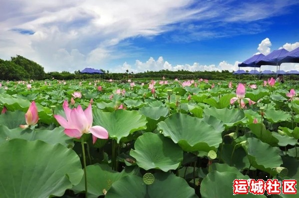 运城盐湖区将建设三个小城镇,总体规划评审会已召开,看看在哪儿