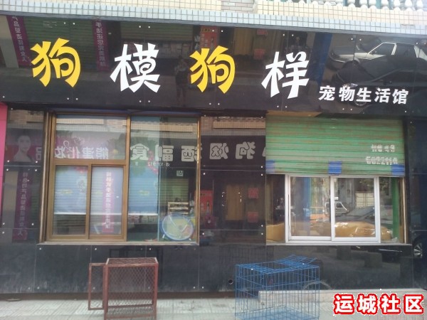 运城狗模狗样宠物怎么样，狗模狗样宠物店地址电话推荐