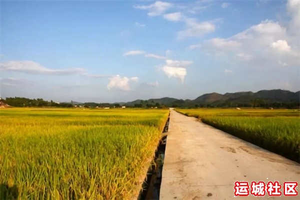 高标准农田建设项目运城哪些县区村镇分到了财政资金