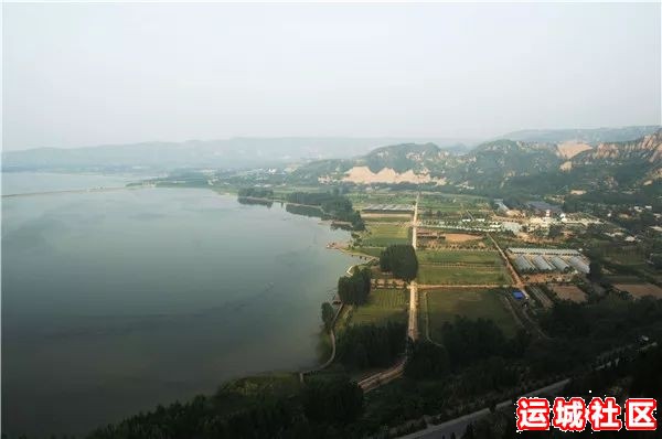 平陆大天鹅景区——运城旅游