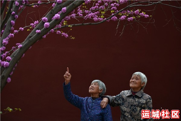 芮城永乐宫