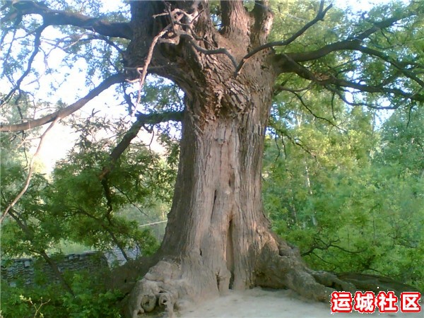 永济神潭大峡谷