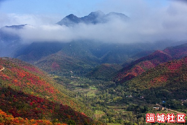 平陆中条山红叶（图）