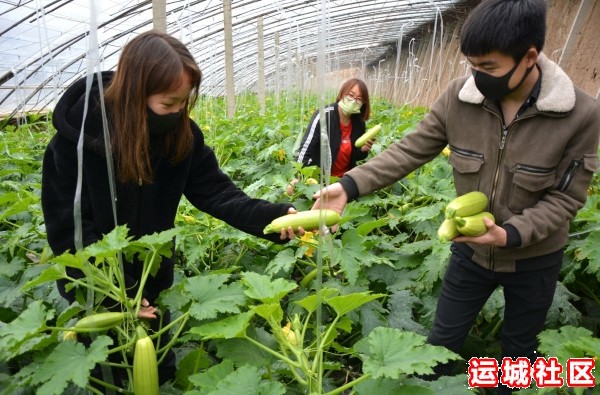 抗击疫情抓生产 万众一心迎春来(记者摄影)