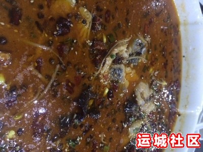 食客晒东娃卤肉