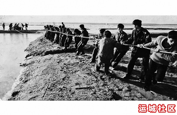 1990年永济黄河滩鱼场照片