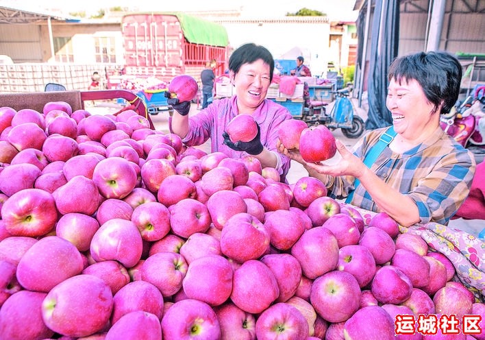 万荣果香飘河东