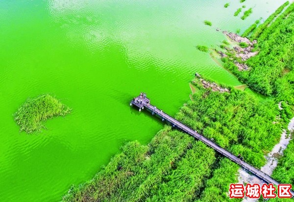 永济伍姓湖湿地地理位置在运城市哪儿?