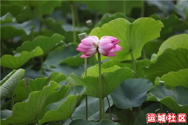 运城旅游景区门票优惠免费！