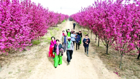 河津市打造具有地方特色的乡村旅游景点