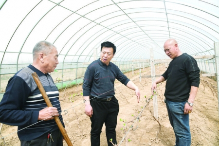 闻喜县阳隅村“两委”干部帮助村民解决大棚种植存在困难和问题