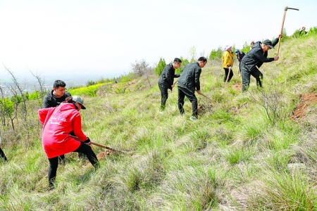 运城日报社为芮城县虎庙山义务植树500棵