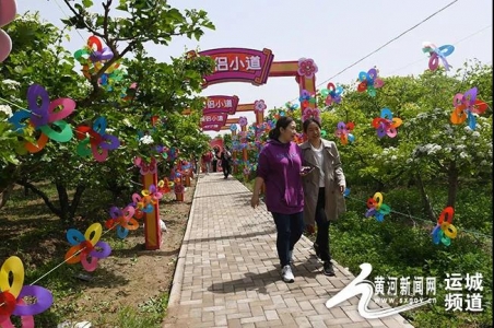 闻喜县第六届山楂花节在七里坡村举行