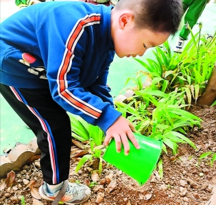 盐湖区东方锦绣幼儿园组织孩子户外翻土浇水播撒下绿色希望