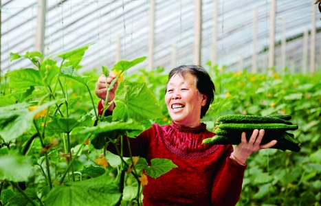 芮城县董村蔬菜种植户推行整村授信工作满足农户资金需求