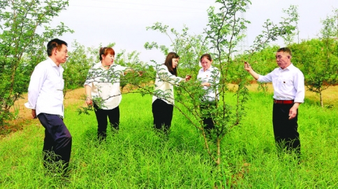 夏县水利局派驻张家坪村“两委”干部查看中药材、花椒立体种植长势