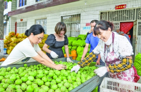 青皮核桃成为陈堡村“一村一品”主导产业