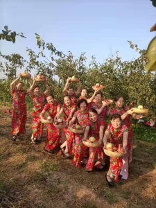 五洲丽人旗袍文化团到中陈村酥梨园采风