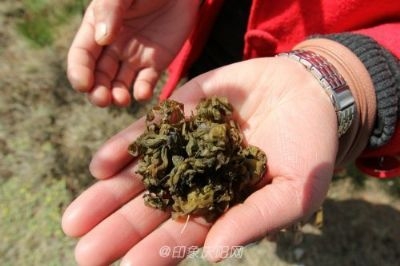 香香的地软软(散文)_郭竹爱