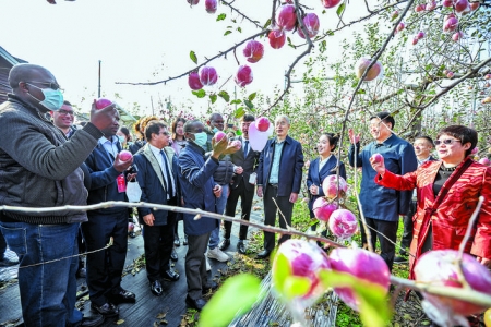 （运城）国际果品交易博览会剪影