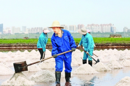 “五步产盐法”，盐湖非遗传承人晋永宏