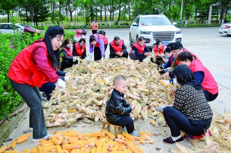 芮城县志愿者剥玉米帮农民抢收干起农活